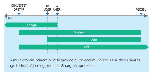 Billede der viser, hvornår man skal tage hvilke kosttilskud