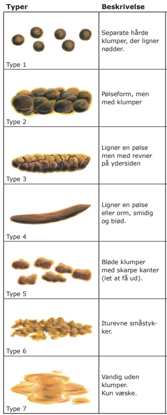 Bristol Stool afføringsskema