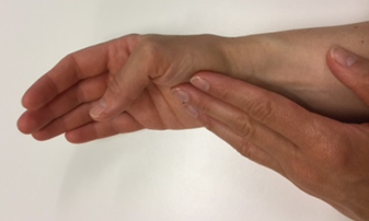 Nogle fingre støtter under grundleddet på en tommelfinger, som bøjer i grundleddet