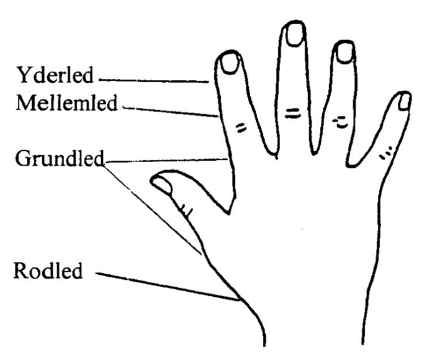 Tegning viser ledene på fingrene