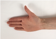 Hånd, hvor tommelfingeren strækkes ud til siden