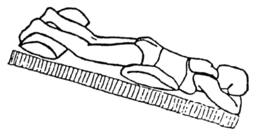 Person ligger på maven på overflade som hælder 45 ned ved hovedgærdet. Der er puden underanklerne og mave