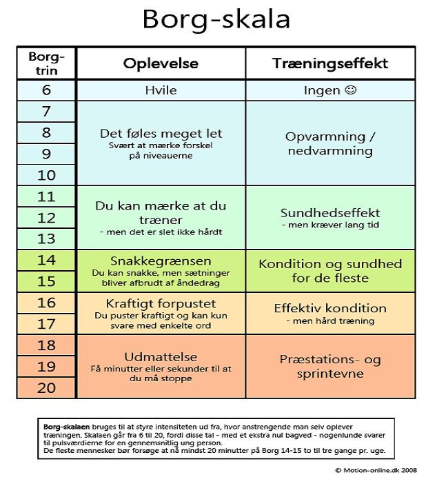 Borg-skalaen.png