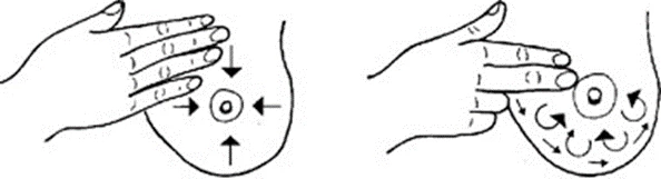 Tegning, der viser en flad hånd, der stryger brystet mod brystvorten fra alle sider. Tegningen viser også en hånd, der med pege- og langefinger masserer i cirkelbevægelser rundt om brystvorten.