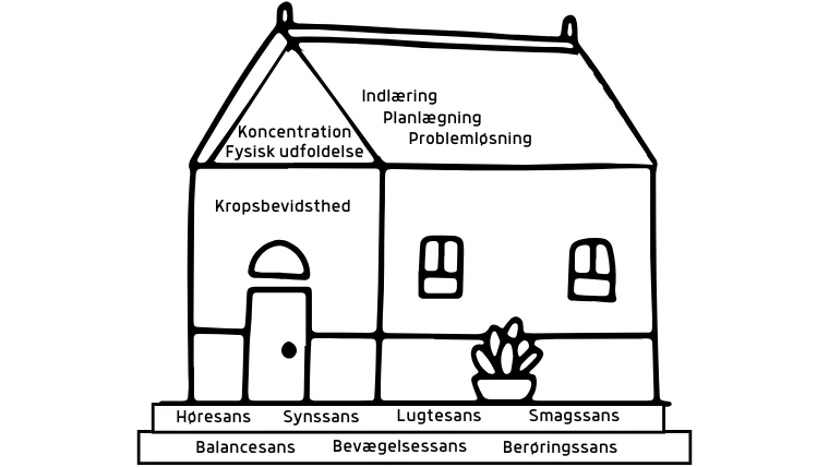 Tegning der viser indholdet i sansehuset