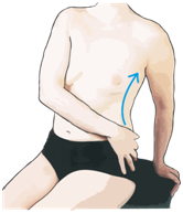Tegning af person med højre hånd på venstre hofte. Der er en pil op ad kroppen mod venstre armhuleule.png